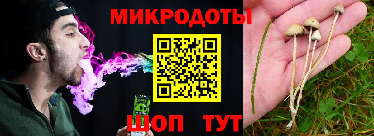 Кудрово  Галлюциногенные грибы мухоморы  Псилоцибиновые грибы ЛСД  Вход с VPN 