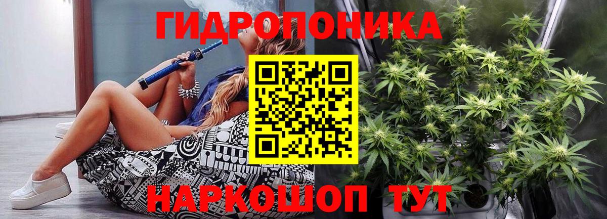 Канабис план Кудрово